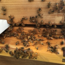 Girls hanging out, outside